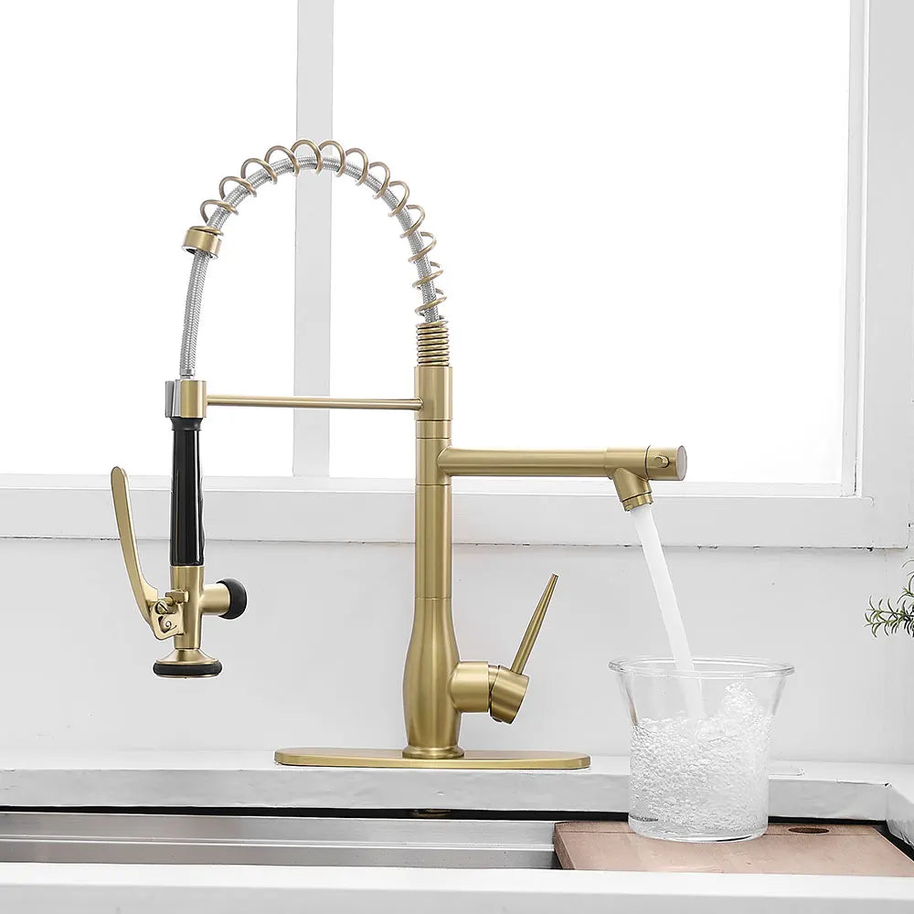 Commercial Brushed Gold Kitchen Faucet with Pull Down Sprayer,Faucet with Deck Plate,Single Handle Single Lever Kitchen Faucet