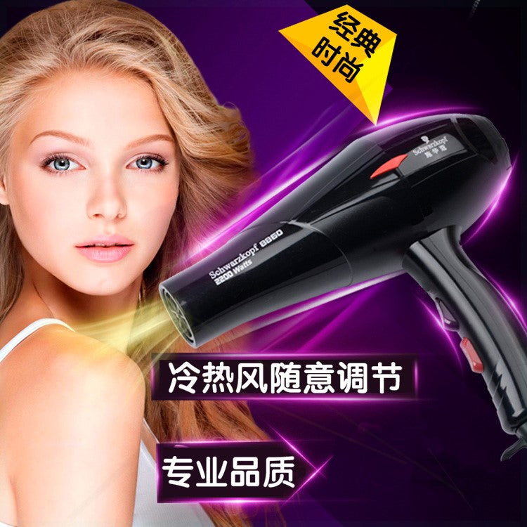 Dormitory German SCHWARZKOPF PROFESSIONAL High-Power Hair Dryer