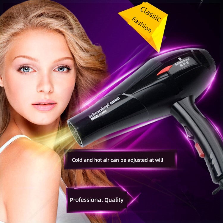 Dormitory German SCHWARZKOPF PROFESSIONAL High-Power Hair Dryer