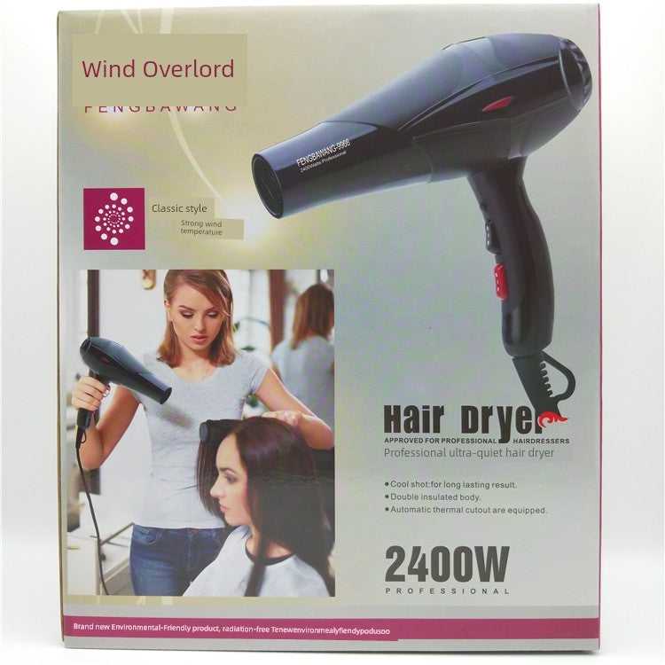 Dormitory German SCHWARZKOPF PROFESSIONAL High-Power Hair Dryer